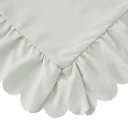 2597-4.webp