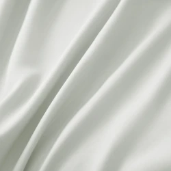 2597-5.webp