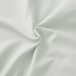 2597-6.webp