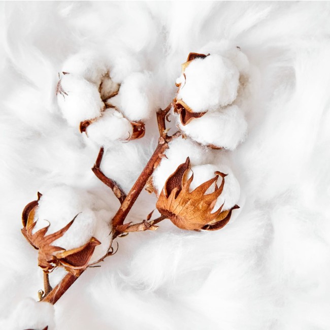 Przejdź do produktu Kołdra 200x220 całroczna ecotton 100% bawełniana