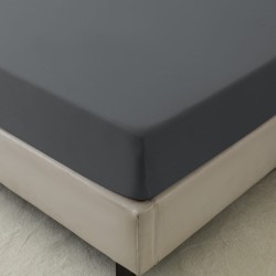 2976-2.jpg