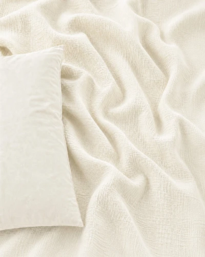 CREAM_05.jpg
