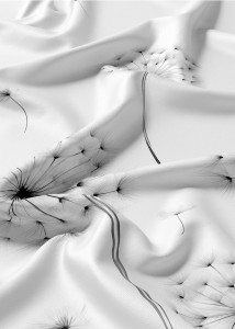 5991_B_06.jpg
