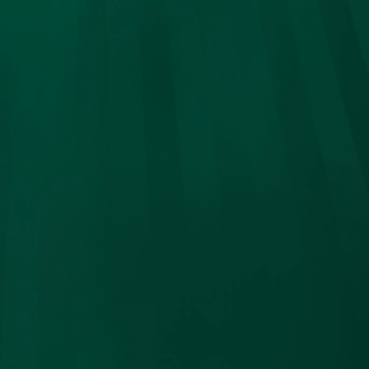 2755-2.jpg